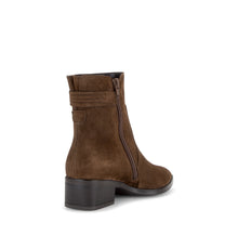 Load image into Gallery viewer, Gabor Brown Suede Pointy Ankle Boot|806202005
