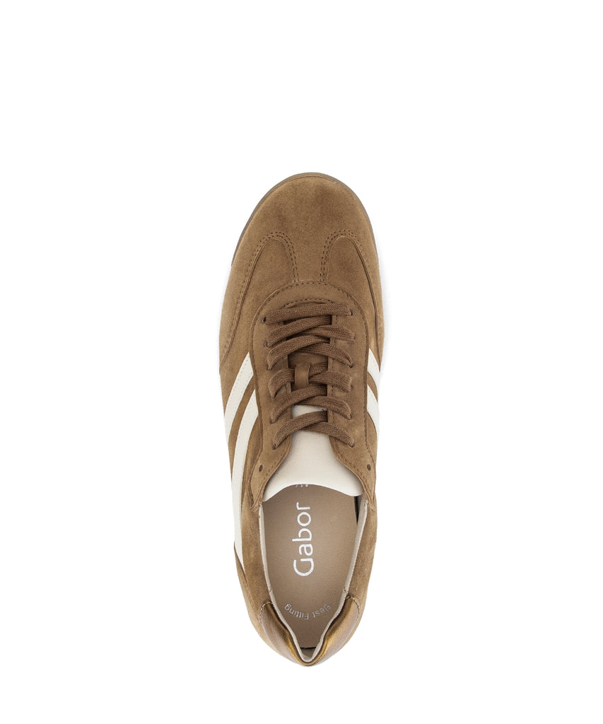 Gabor Brown Suede Trainer|8343024