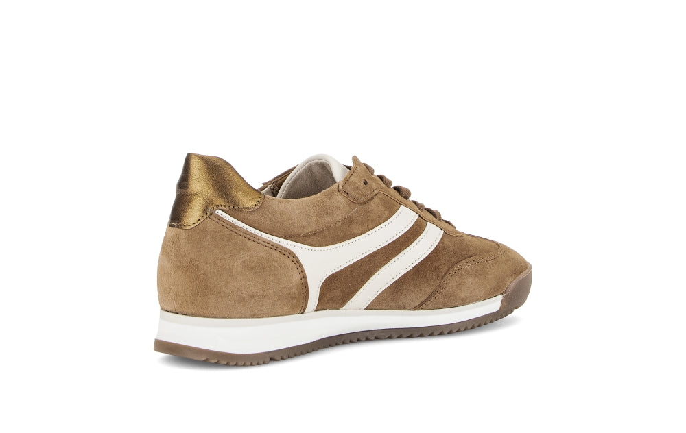 Gabor Brown Suede Trainer|8343024