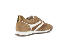 Load image into Gallery viewer, Gabor Brown Suede Trainer|8343024
