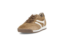 Load image into Gallery viewer, Gabor Brown Suede Trainer|8343024
