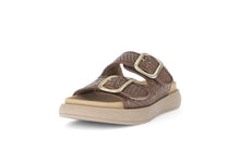 Load image into Gallery viewer, Gabor Brown Comfort Strap Sandal |8375728
