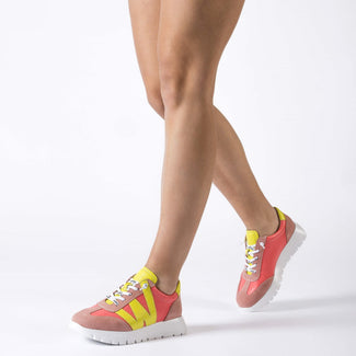 Wonders A2476MU- Trainer.