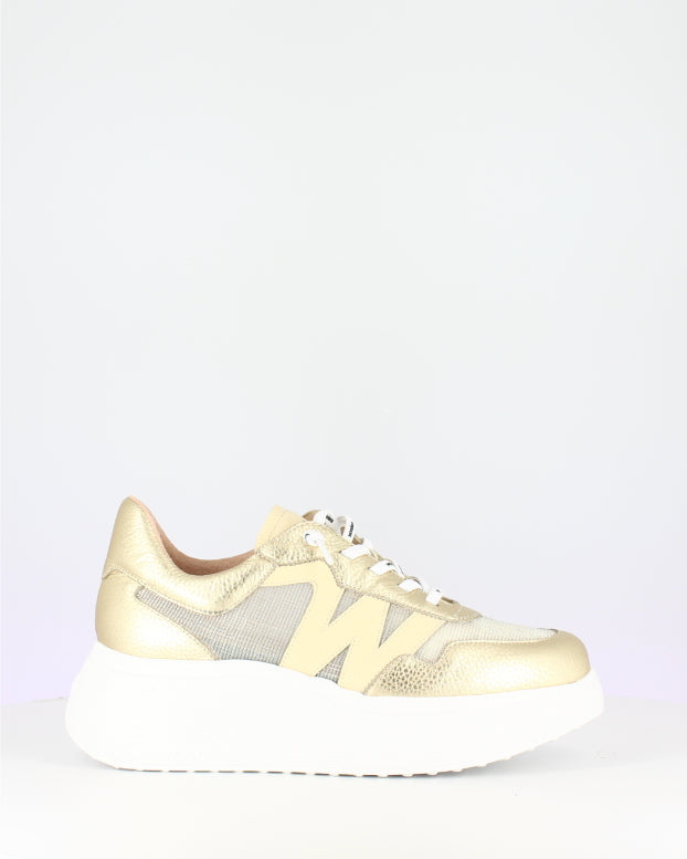 Wonders Gold Wedge Trainer|A3640P