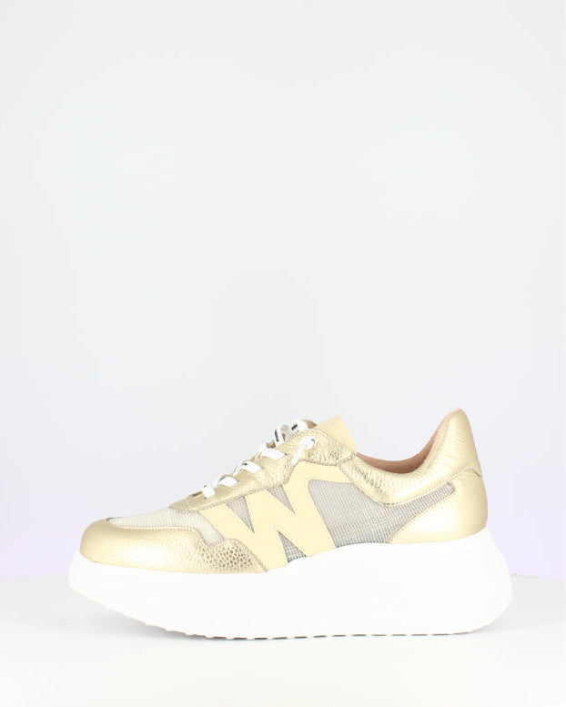 Wonders Gold Wedge Trainer|A3640P