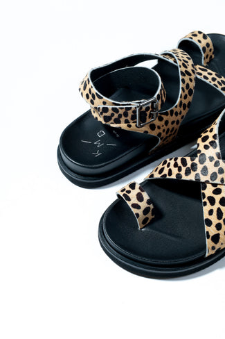 Black sandal with leopard print straps on a white background
