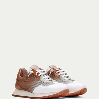 Hispanitas BHV253869- Trainer.