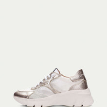 Load image into Gallery viewer, Hispanitas CHV253819C- Trainer.
