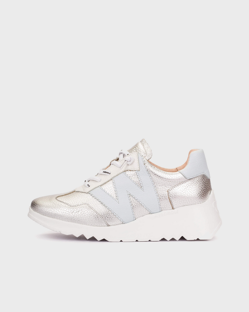 Silver sneaker on a light gray background