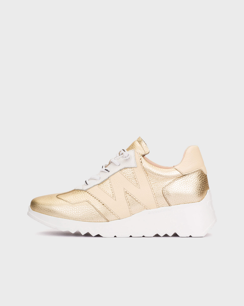 Gold sneaker on a white background