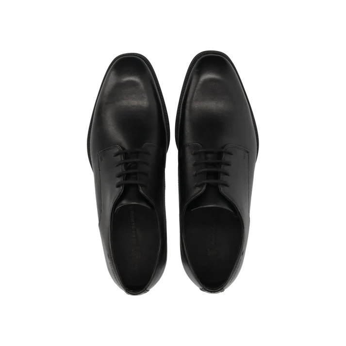 Pair of black dress shoes on a white background