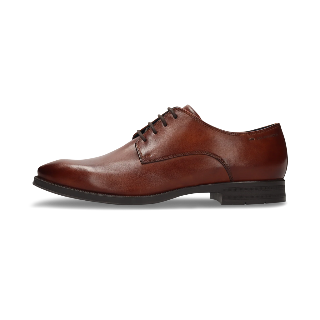 Brown leather dress shoe on a white background