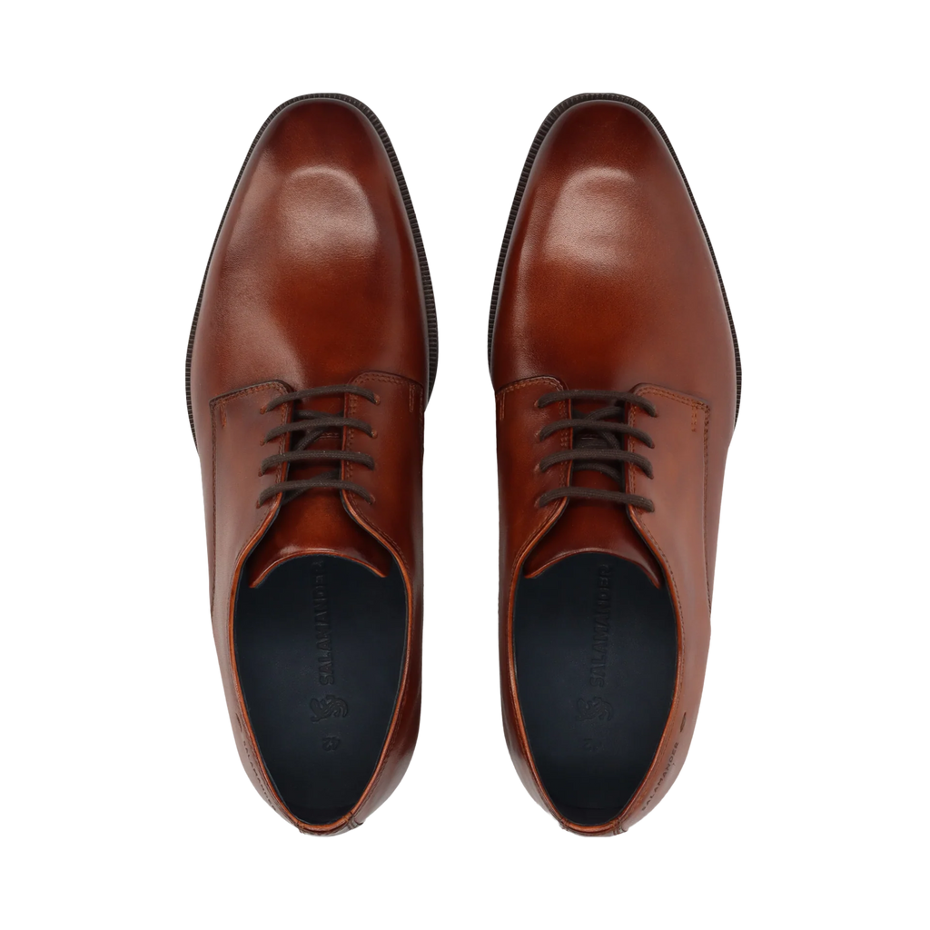 Pair of brown leather dress shoes on a white background