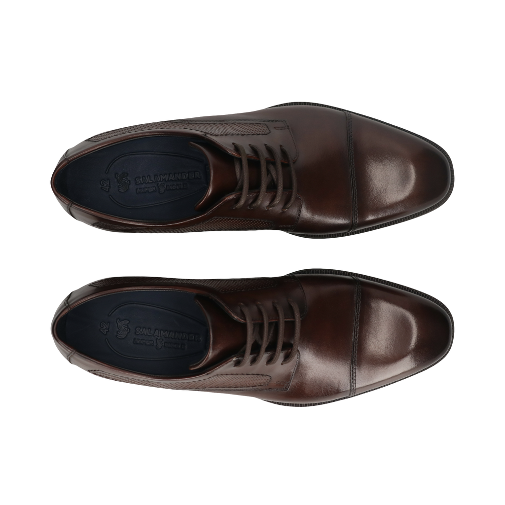 Salamander Brown Lace-Up Business Shoe |E11AUU026