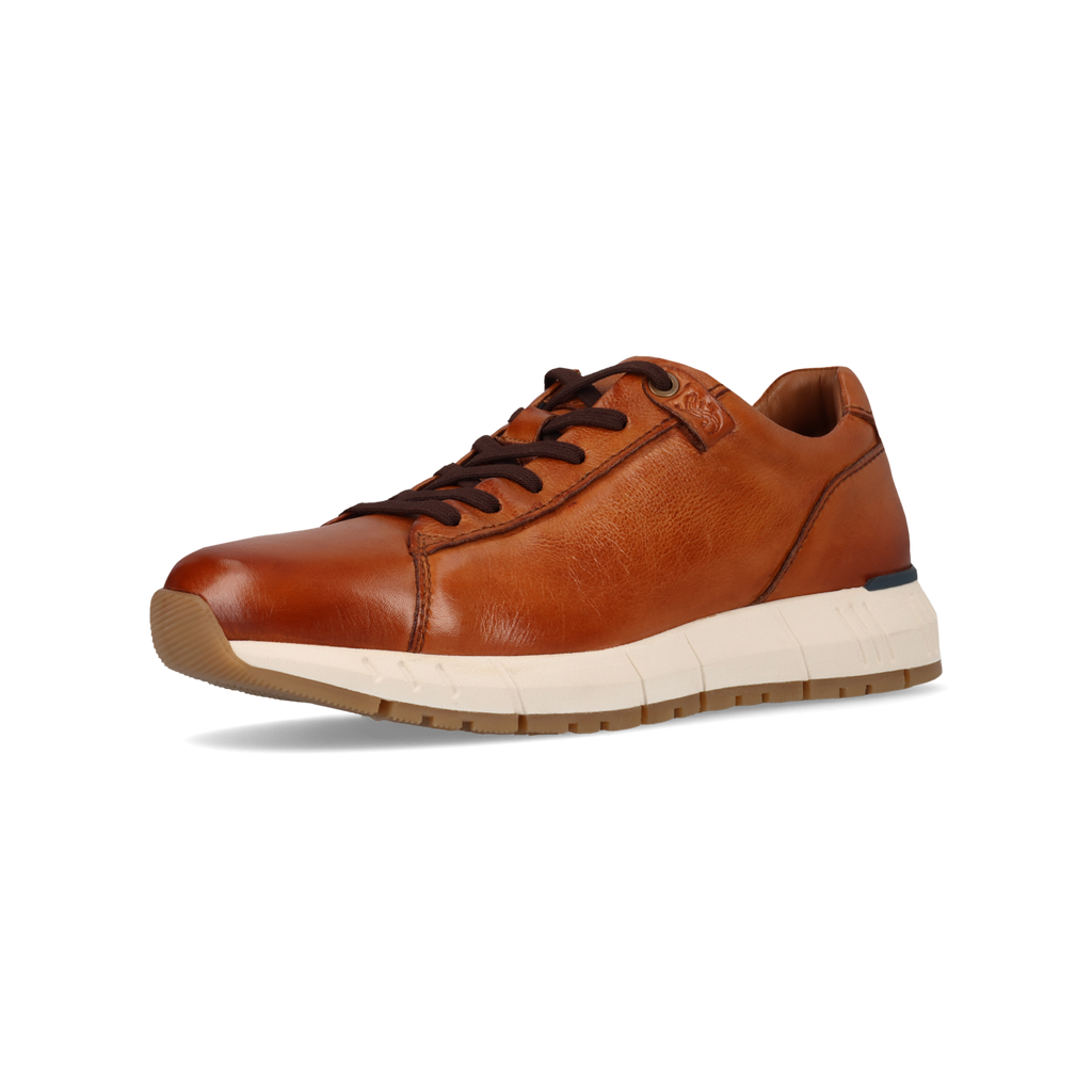 Salamander E31ASA0163- Trainer.