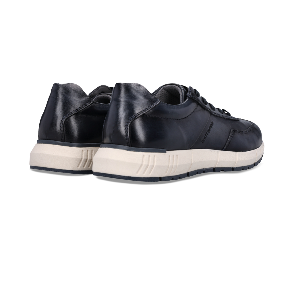 Salamander Navy Leather Trainer|E31ASA0541-