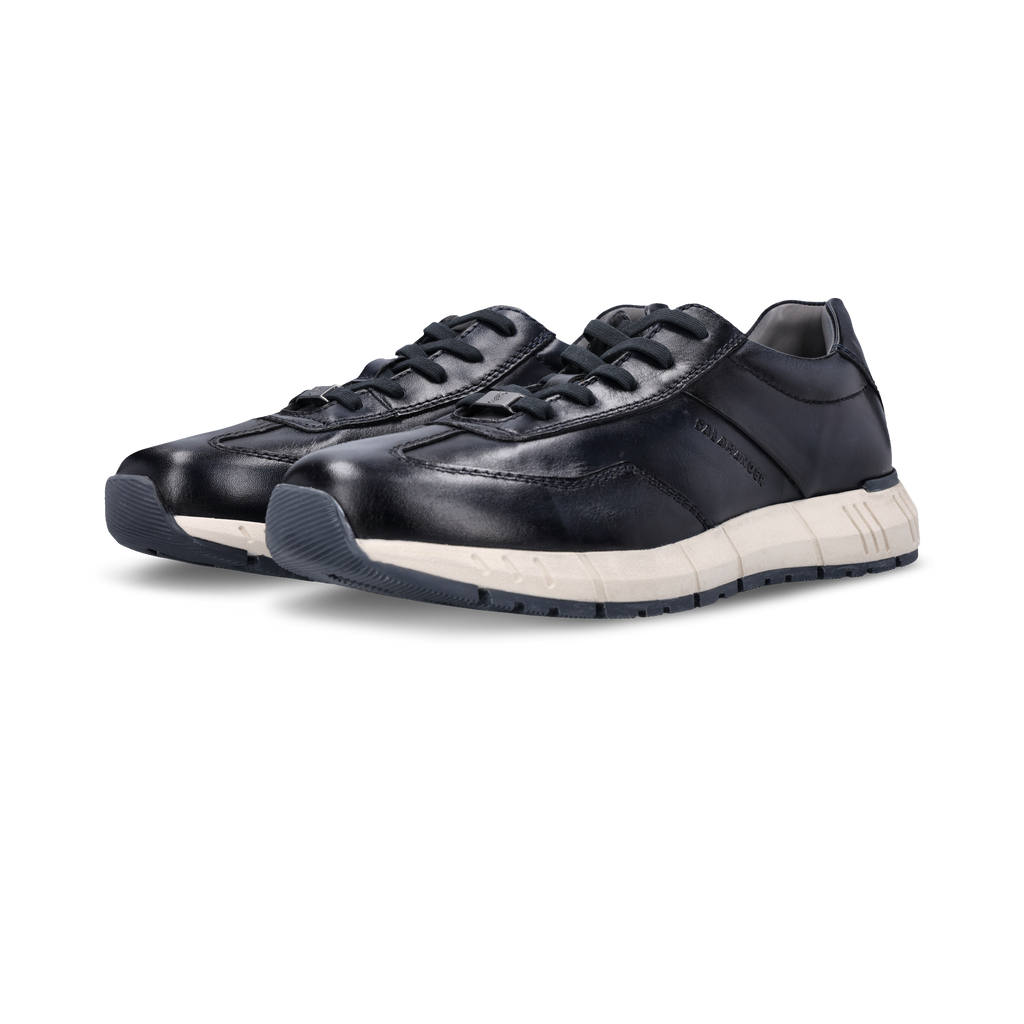 Salamander Navy Leather Trainer|E31ASA0541-