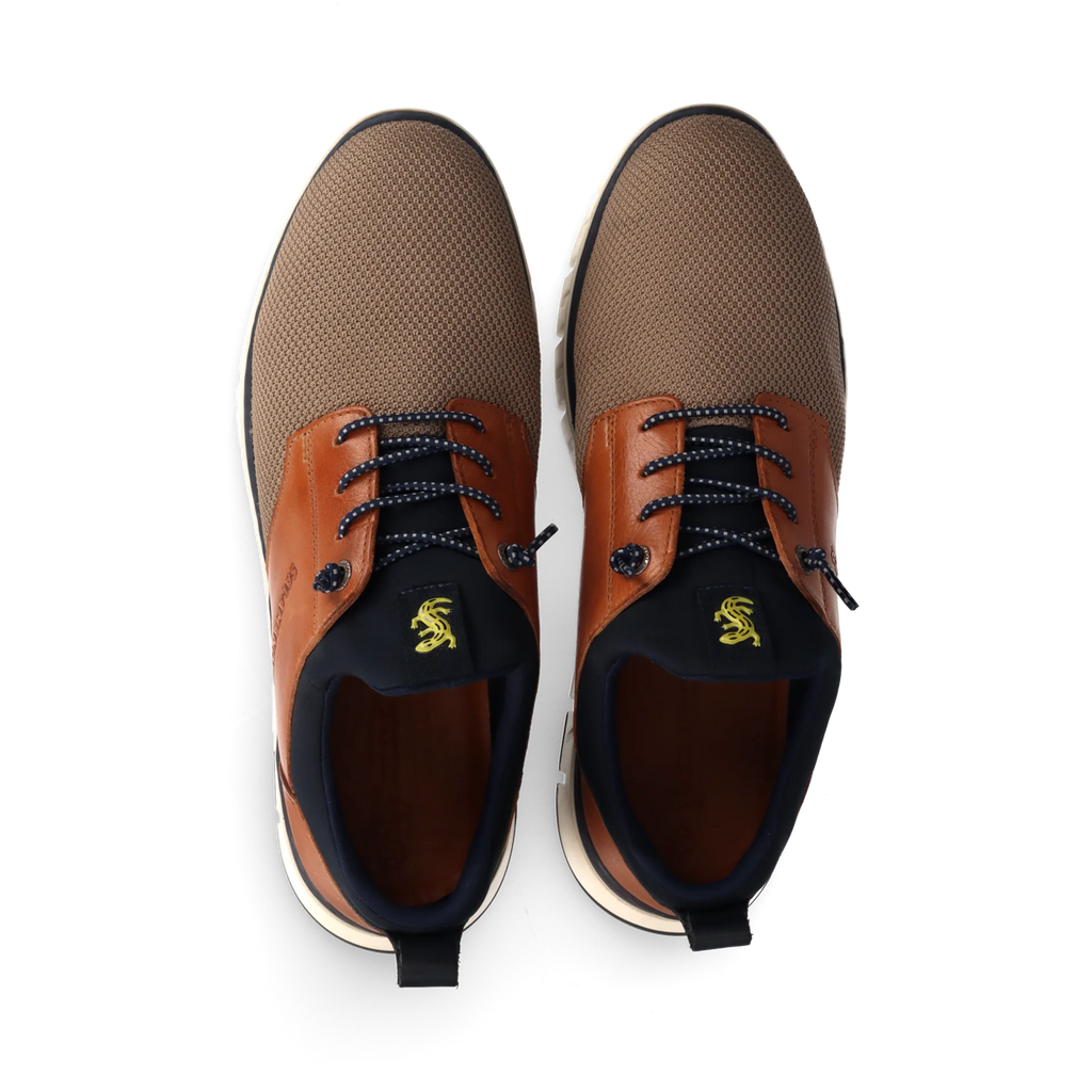 Salamander Taupe and Tan Trainer|E31ASB6052