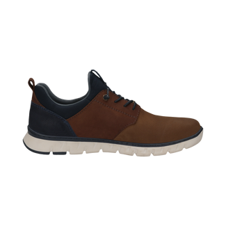 Salamander Brown Laced Trainer |E31ASB6163