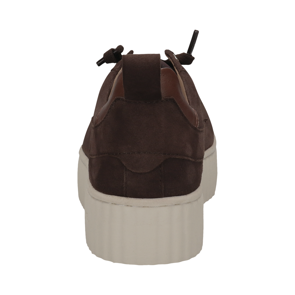 Salamander F31ARP0361- Trainer.