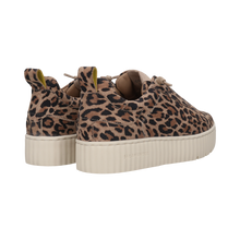 Load image into Gallery viewer, Salamander Leo Print platform Trainer| F31ARP0382
