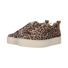 Load image into Gallery viewer, Salamander Leo Print platform Trainer| F31ARP0382
