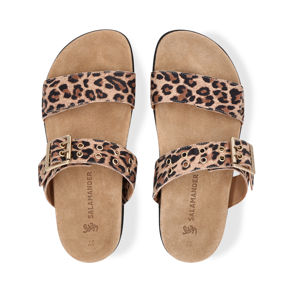 Salamander Leo Print Sandal|F31AS39082