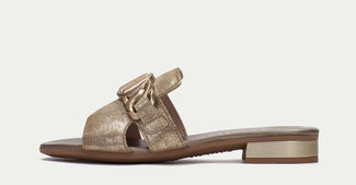 Hispanitas HV243268G- Mule.