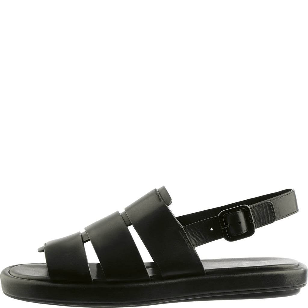 Black sandal with multiple straps on a white background