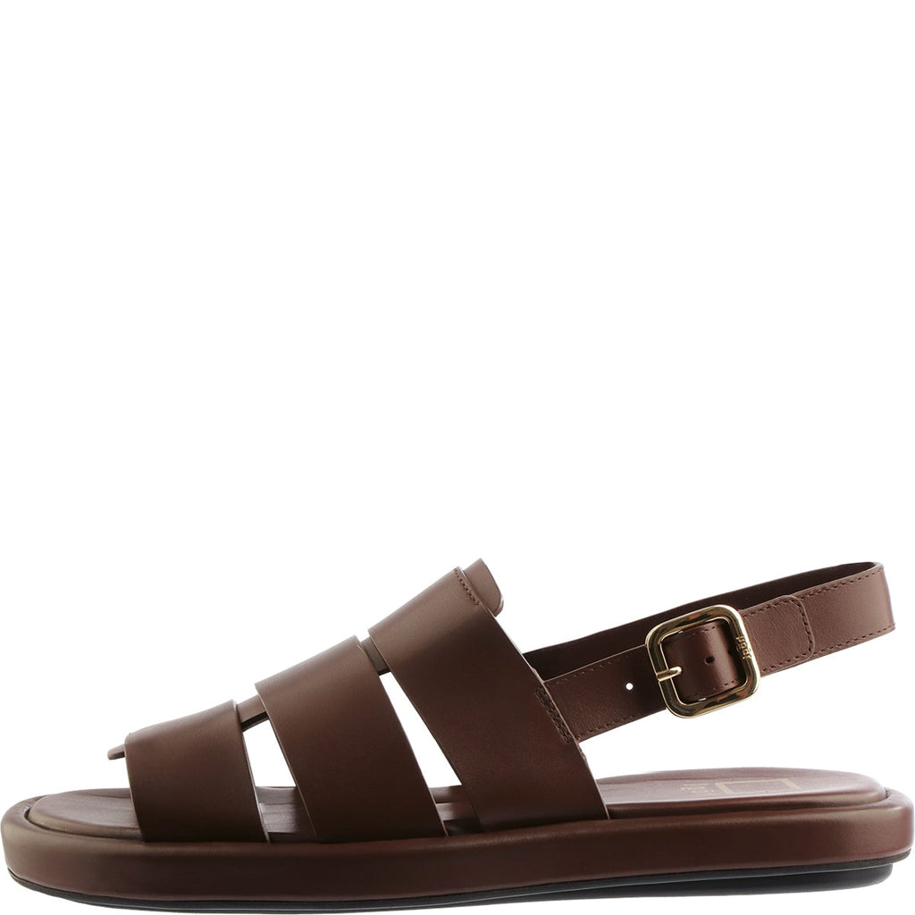 Brown sandal with a gold buckle on a white background
