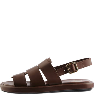 Brown sandal with a gold buckle on a white background