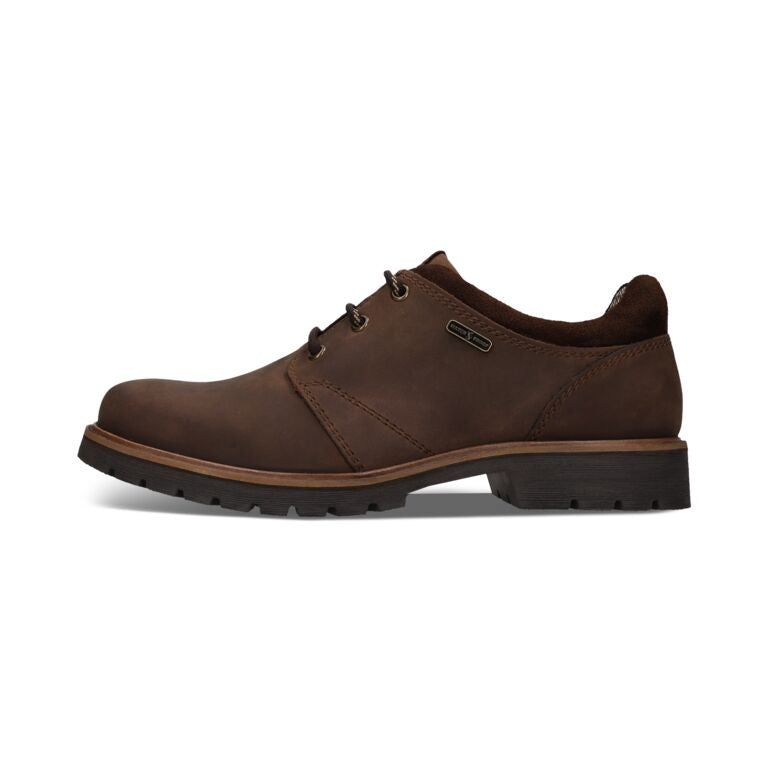 Salamander Dark Brown Laced Shoe|E31AY70161