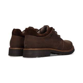 Salamander Dark Brown Laced Shoe|E31AY70161