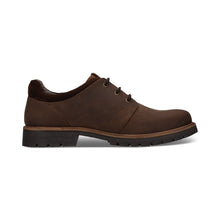 Load image into Gallery viewer, Salamander Dark Brown Laced Shoe|E31AY70161
