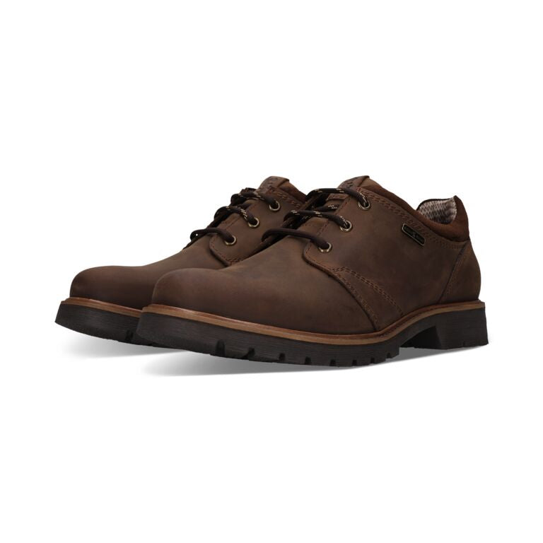 Salamander Dark Brown Laced Shoe|E31AY70161