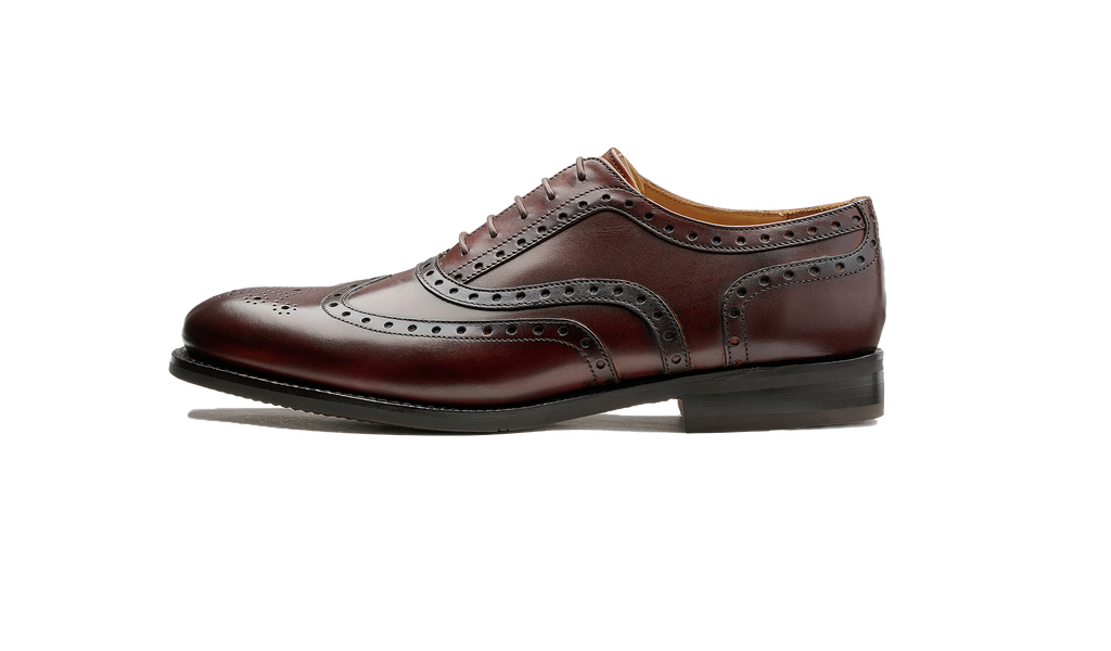 Brown leather dress shoe on a white background