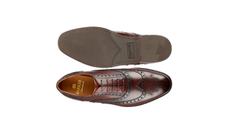 Brown leather dress shoe on a white background