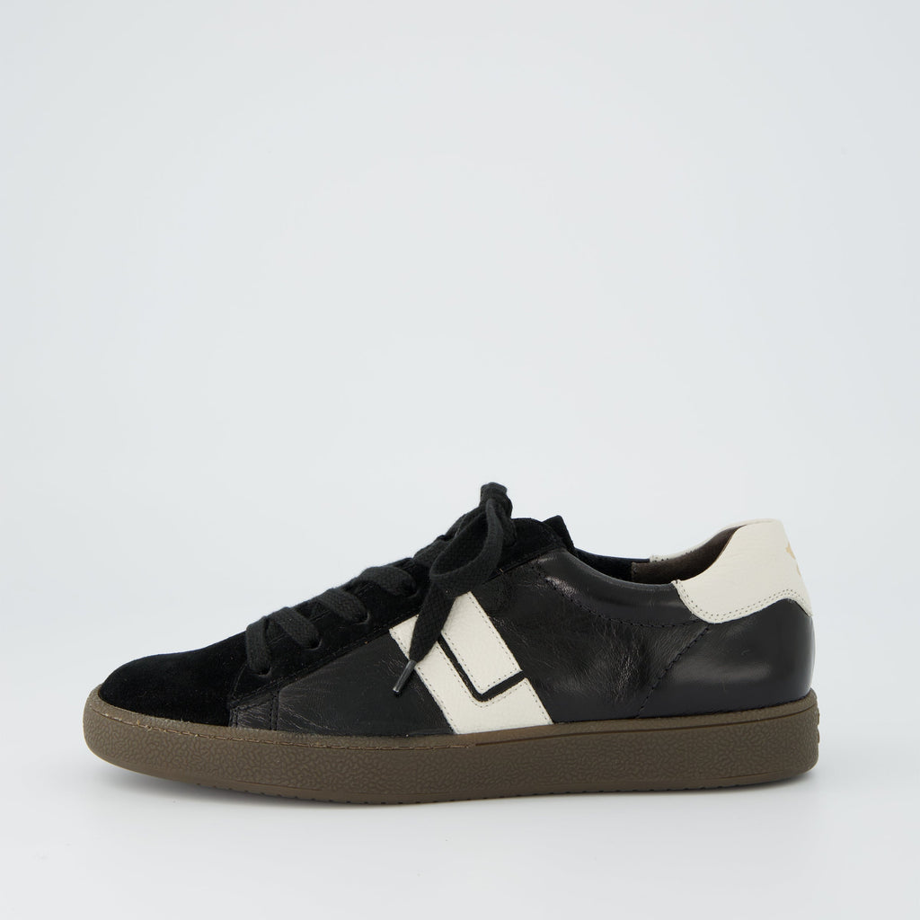 Paul Green Black And White Trainer|5464208