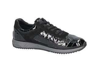 Black soccer shoe on a white background