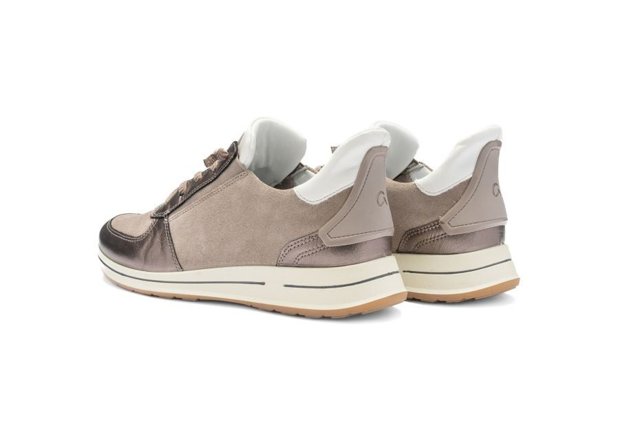 Ara 122483617-Trainer.