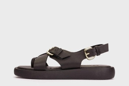Black sandal with gold buckle on a white background