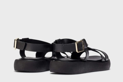 Black sandals with gold buckles on a light gray background
