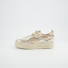 Load image into Gallery viewer, Paul Green Platform Snake Print Trainer|5317079
