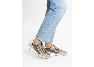 Ara 125480179- Trainer.