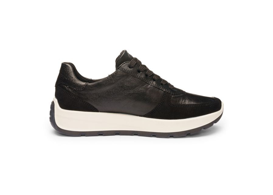 Ara 122511201- Trainer.