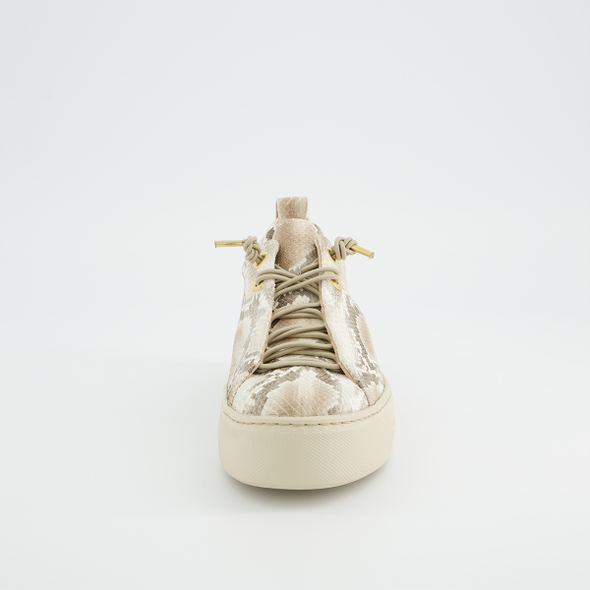 Paul Green Platform Snake Print Trainer|5317079