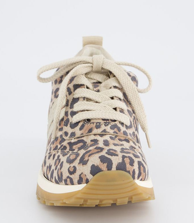 paul green 5392090- trainer.