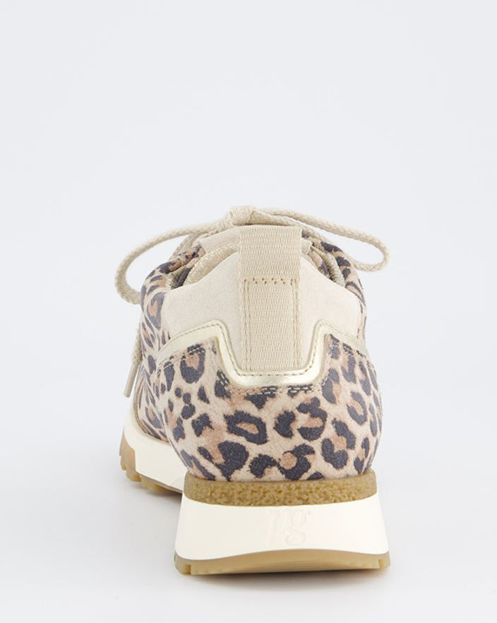 paul green 5392090- trainer.