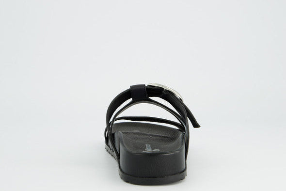 Paul Green Black Mule|6171009