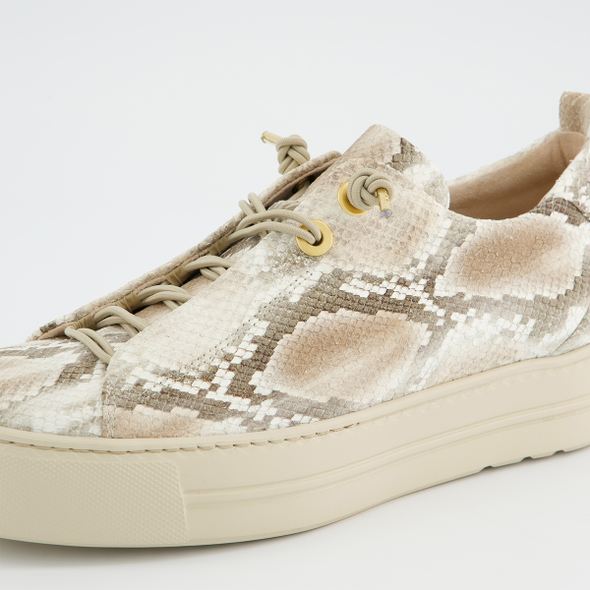 Paul Green Platform Snake Print Trainer|5317079